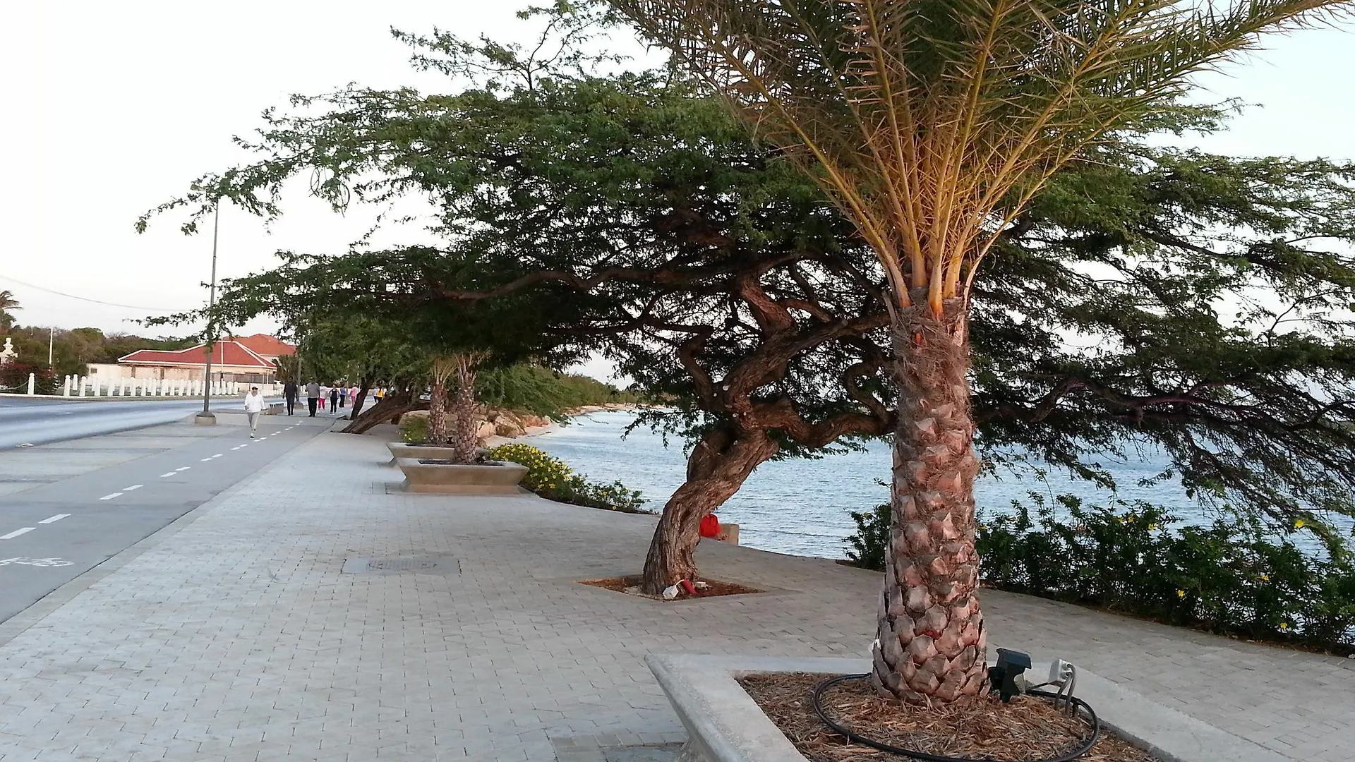 Le Chateau Ocean Villas Oranjestad 4*,