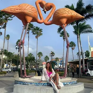 Harmony Hotel Hostel Aruba Apartahotel